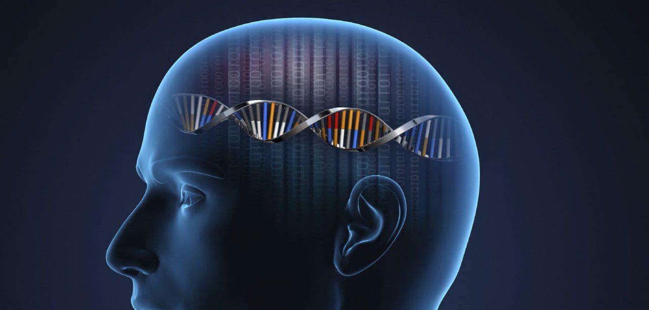 Генетика и память. Память человека. Генетика в психологии. Генетическая память. Тета 21